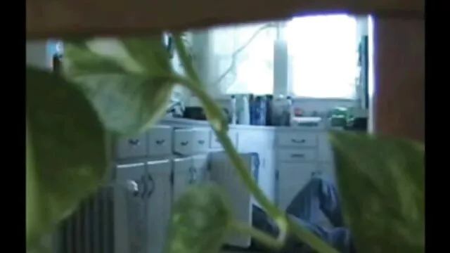 la mamma bionda Holly Smuch ama mostrare e masturbarsi nei suoi tacchi in nylon trasparente e bretelle in ultimi film hard italiani stile retrò sotto il suo Mac di pioggia